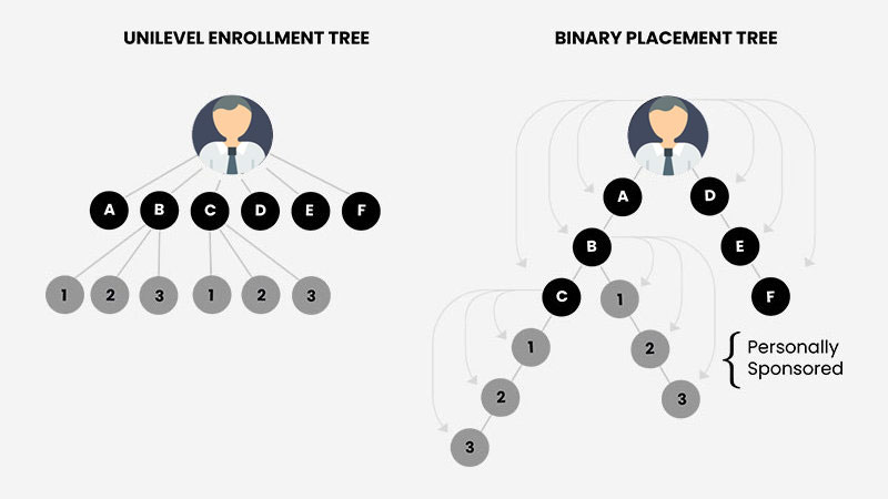 Binary Plan MLM Software Sponsor Bonus